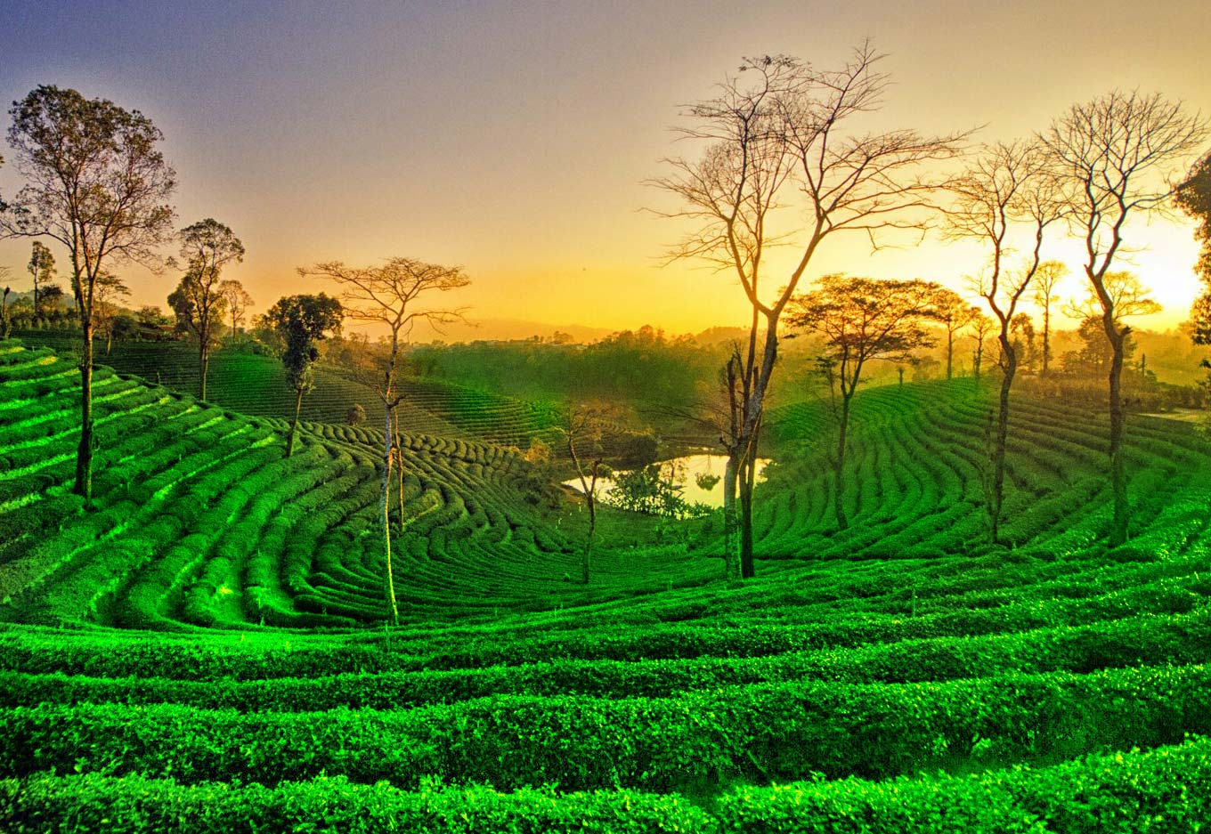 Assam and Arunachal Tour Package