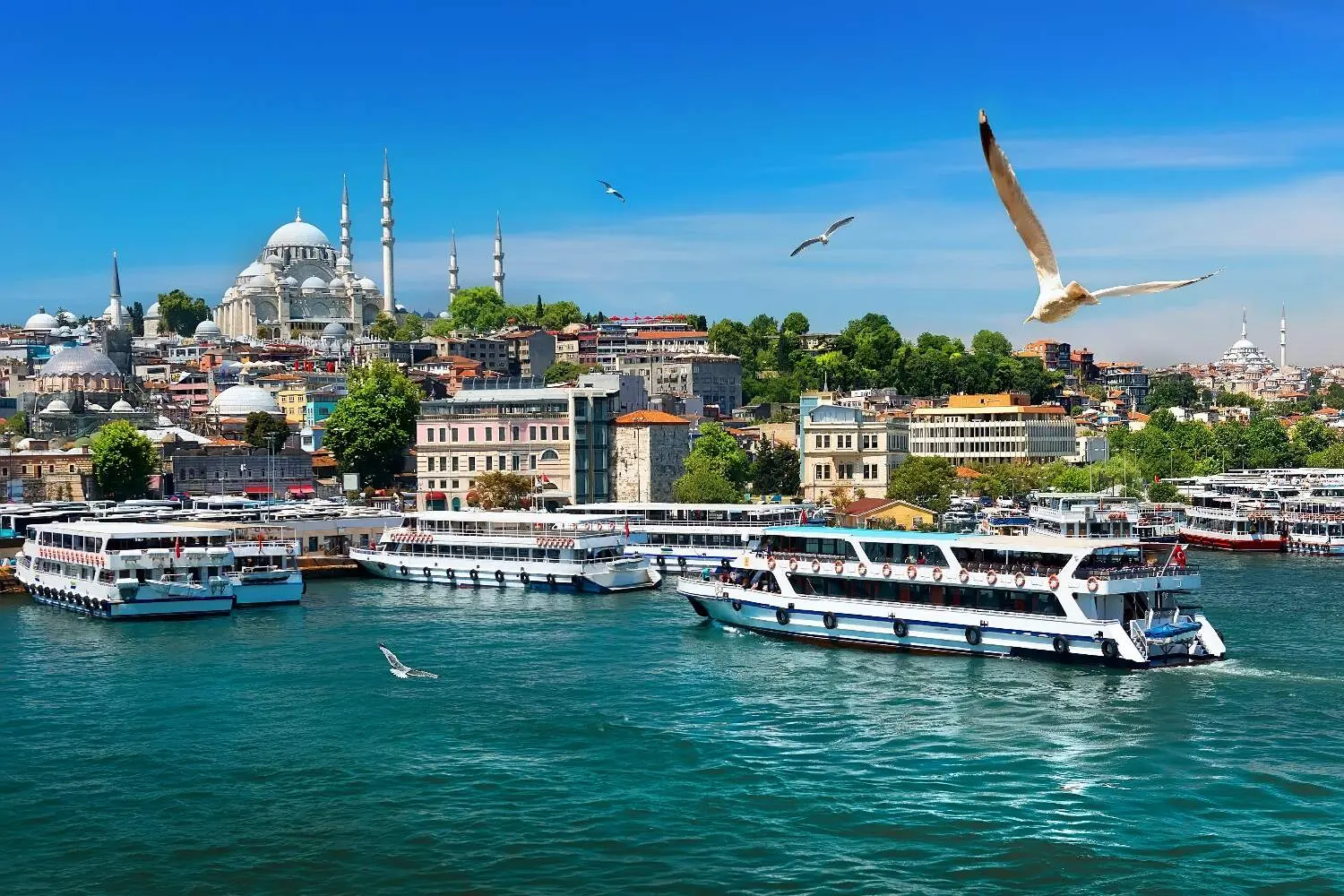 Turkey Tour